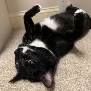 Meet your Posher, Jack